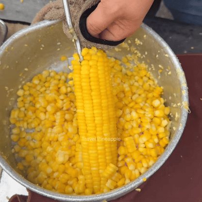 💥 LAST DAY 49% OFF 🌽 (2-Pcs) Long Handle Stainless Steel Corn Stripping Tool